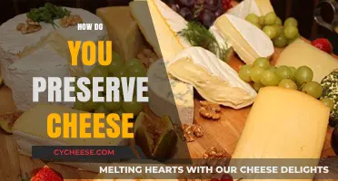 Mastering Cheese Preservation: Tips for Freshness and Flavor Retention