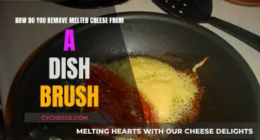 Removing Melted Cheese from a Dish Brush: Effective Tips