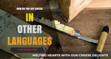Say Cheese Globally: A Multilingual Guide to Cheese Names
