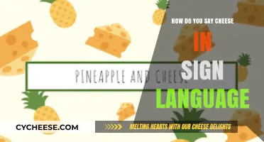 Expressing 'Cheese' in Sign Language: A Quick and Easy Guide