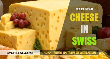 Cheese in Swiss: A Guide to Saying it Right