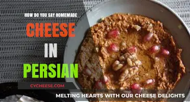 Discovering the Persian Term for Homemade Cheese: A Culinary Journey