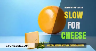Mastering Cheese Vocabulary: How to Say 'So Slow' in Different Languages