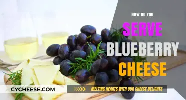 Blueberry Cheese: Perfect Pairing Ideas