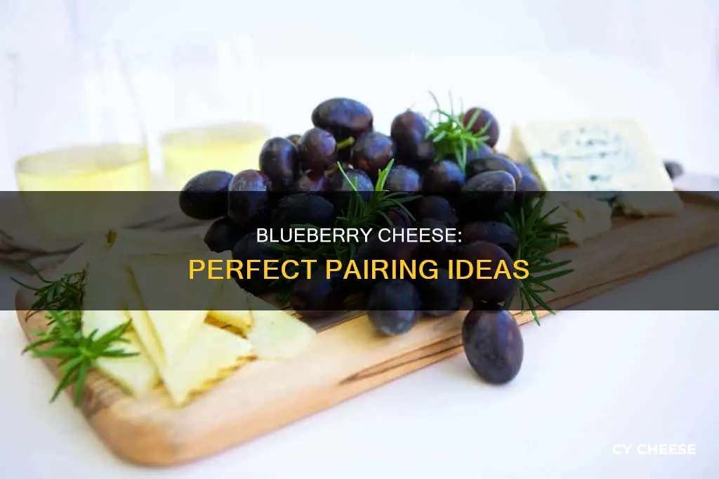 how do you serve blueberry cheese