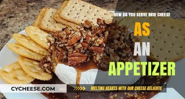 Brie Appetizer Ideas: Simple Yet Delicious Ways to Serve Brie