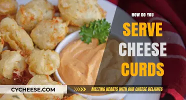 Delicious Ways to Serve Cheese Curds