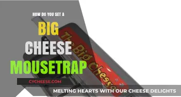 Mastering the Art of Setting a Big Cheese Mousetrap Effectively