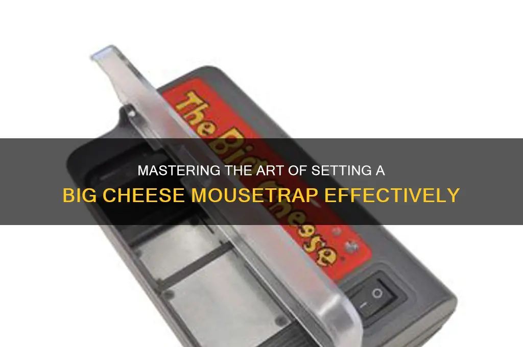 how do you set a big cheese mousetrap
