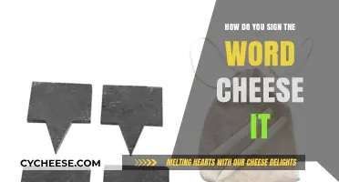 Mastering Sign Language: How to Sign 'Cheese It' Accurately and Easily