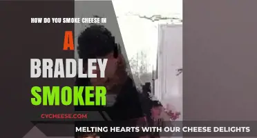 Mastering the Art of Smoking Cheese in a Bradley Smoker