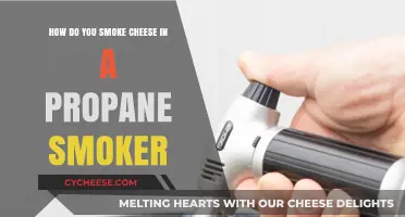 Mastering Propane Smoker Techniques: Perfectly Smoking Cheese at Home