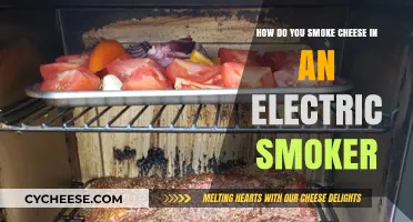 Mastering Electric Smoker Techniques: Perfectly Smoking Cheese at Home