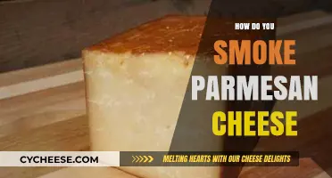 The Art of Smoking Parmesan Cheese