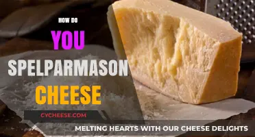 Mastering the Art of Spelling Parmesan Cheese: A Simple Guide