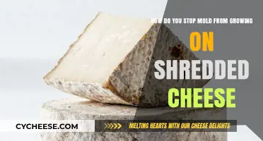 Prevent Mold on Shredded Cheese: Effective Storage Tips and Tricks