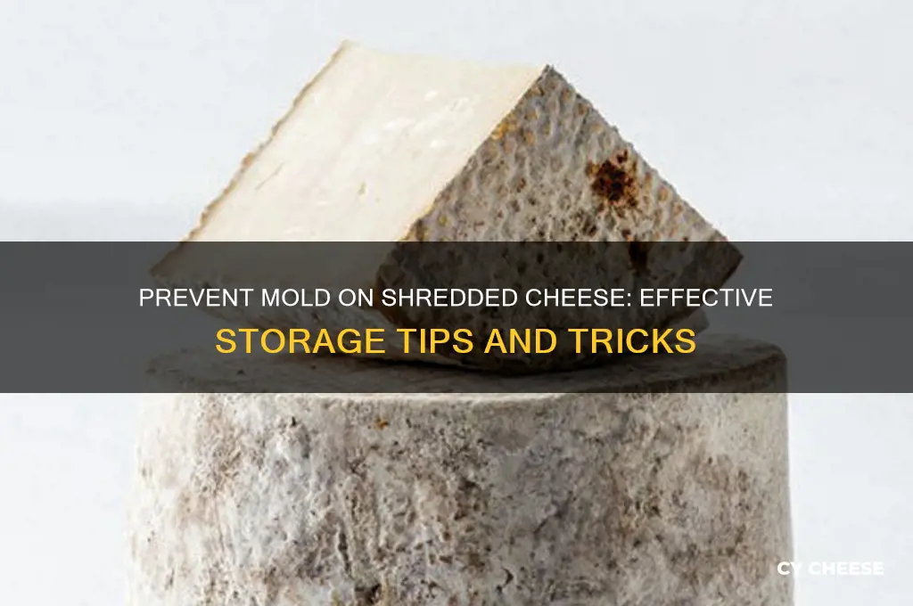 how do you stop mold from growing on shredded cheese