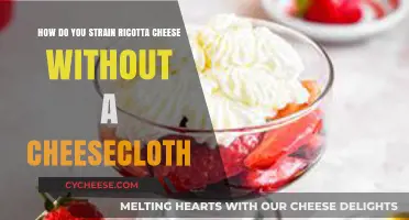 Creative Ways to Strain Ricotta Cheese Without Cheesecloth at Home