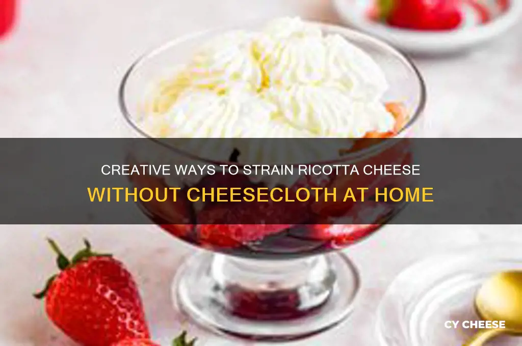 how do you strain ricotta cheese without a cheesecloth