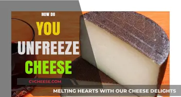 Quick Tips to Safely Unfreeze Cheese for Perfect Texture and Flavor
