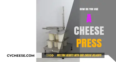 The Ultimate Guide to Using a Cheese Press
