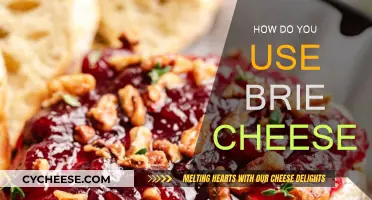 Brie Cheese: Creative Culinary Uses and Ideas