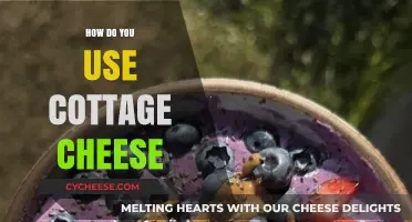 Creative Ways to Use Cottage Cheese in Your Daily Meals