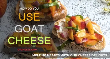Goat Cheese Delights: Creative Culinary Ideas