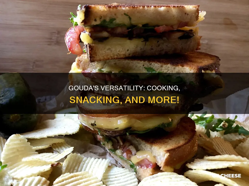 how do you use gouda cheese