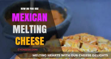 The Ultimate Guide to Mexican Melting Cheese