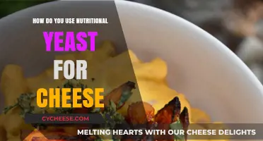 Nutritional Yeast: The Ultimate Cheese Substitute