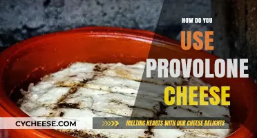Provolone Cheese: Creative Culinary Uses and Applications