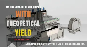 Cheese Yield Gap: Actual vs. Theoretical Production Explained