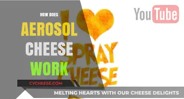 Unveiling the Science Behind Aerosol Cheese: How It Works