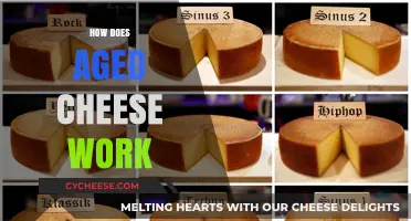 The Science Behind Aged Cheese: Flavor, Texture, and Time