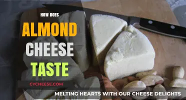 Almond Cheese Taste Test: A Nutty, Creamy Dairy-Free Delight