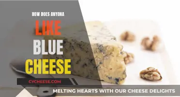 Blue Cheese: Why Do People Love or Hate It?