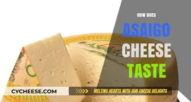 Exploring the Rich, Nutty, and Savory Flavors of Asaigo Cheese
