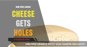 The Mystery of Asiago Cheese Holes Explained