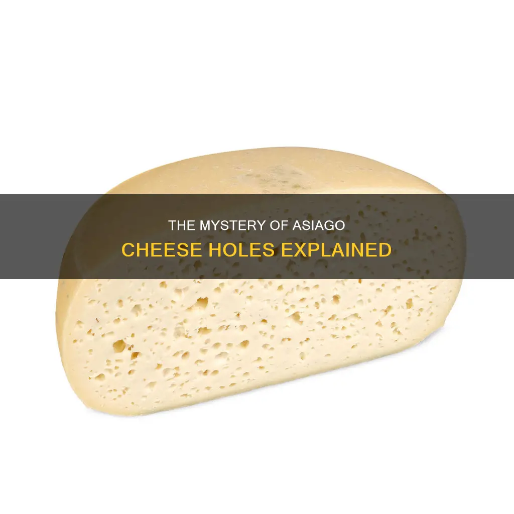 how does asiago cheese gets holes