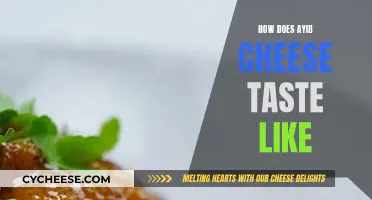 Ayib Cheese: A Unique Taste Experience