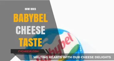 Exploring the Creamy, Mild, and Nutty Flavor of Babybel Cheese