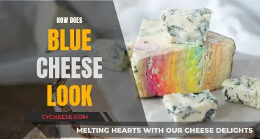 Blue Cheese: A Visual Guide to the Moldy Delicacy