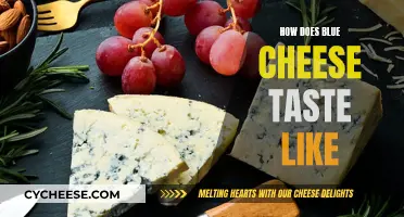 Blue Cheese: A Pungent, Salty, and Creamy Adventure