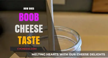 Exploring the Unique Flavor Profile of Boob Cheese: A Tasting Guide
