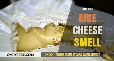 The Distinct Aroma of Brie: Unraveling Its Unique Scent Profile