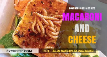 Preventing Bugs in Mac and Cheese