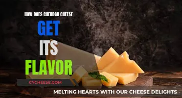 The Science Behind Cheddar's Unique Flavor