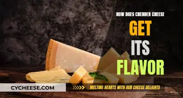 The Chemistry Behind Cheddar's Flavor
