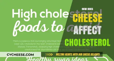 Cheese and Cholesterol: Unraveling the Impact on Heart Health